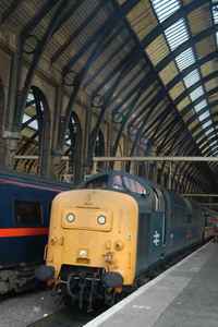 55019 Royal Highland Fusilier