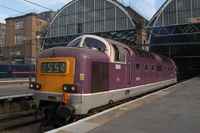 55019 Royal Highland Fusilier
