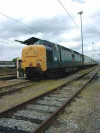 55019 Royal Highland Fusilier