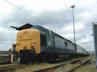 55019 Royal Highland Fusilier