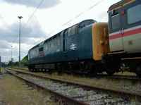 55019 Royal Highland Fusilier