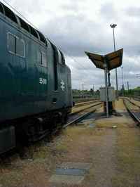 55019 Royal Highland Fusilier