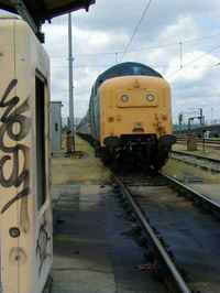 55019 Royal Highland Fusilier