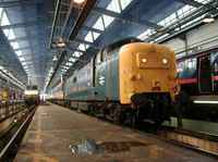 55019 Royal Highland Fusilier