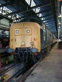 55019 Royal Highland Fusilier