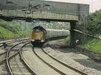 55009 Alycidon