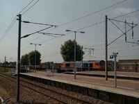 66705 Golden Jubilee