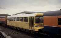 975874 LEV1