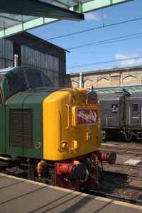 40135 