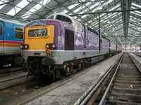 55016 Gordon Highlander