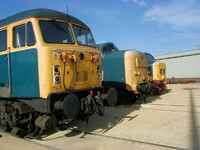 56006 