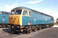 56006 