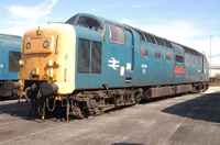 55019 Royal Highland Fusilier