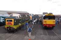 55019 Royal Highland Fusilier