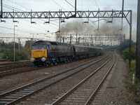 47798 Prince William