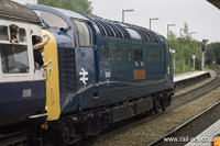 55019 Royal Highland Fusieller