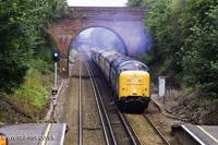 55019 Royal Highland Fusieller
