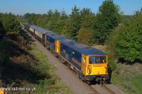 73206 Lisa