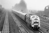 55015 Tulyar