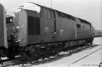 55008 