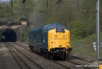 55019 Royal Highland Fusilier