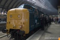 55019 Royal Highland Fusilier