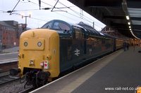 55019 Royal Highland Fusilier