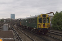 975025 Caroline