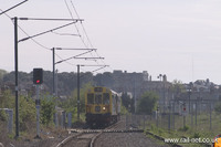 975025 Caroline