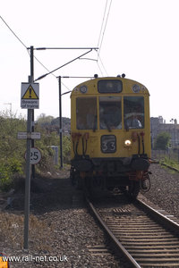 975025 Caroline
