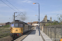 33103 Swordfish