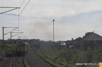 975025 Caroline