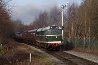 31000 D5600
