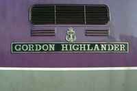55016 Gordon Highlander